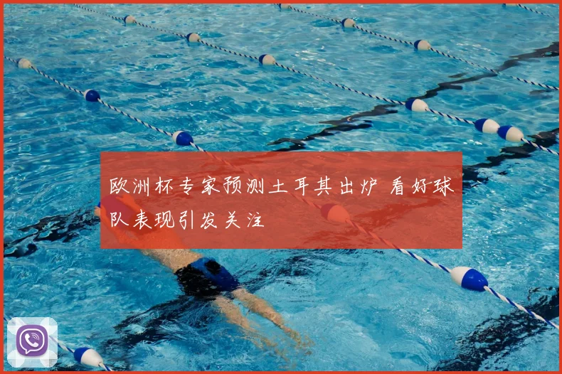 欧洲杯专家预测土耳其出炉 看好球队表现引发关注